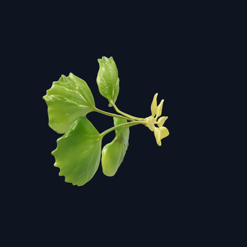 Mystic Midnight Blue Celestial Cloak model pack